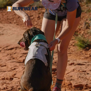 【新品】拉夫威尔凉凉胸背夏季防晒防中暑防爆冲降温外出狗狗胸背