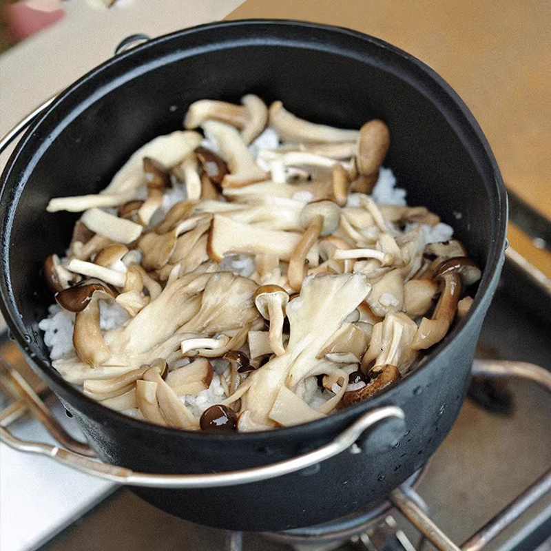 snowpeak雪峰户外BC露营家用铸铁锅煎锅炖煮锅重装四件套CS-550