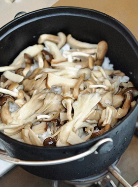 snowpeak雪峰户外BC露营家用铸铁锅煎锅炖煮锅重装四件套CS-550