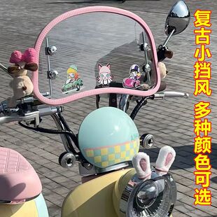 电动车挡风板爱玛晴天九号小牛复古电瓶车风挡税牌贴纸配件装饰