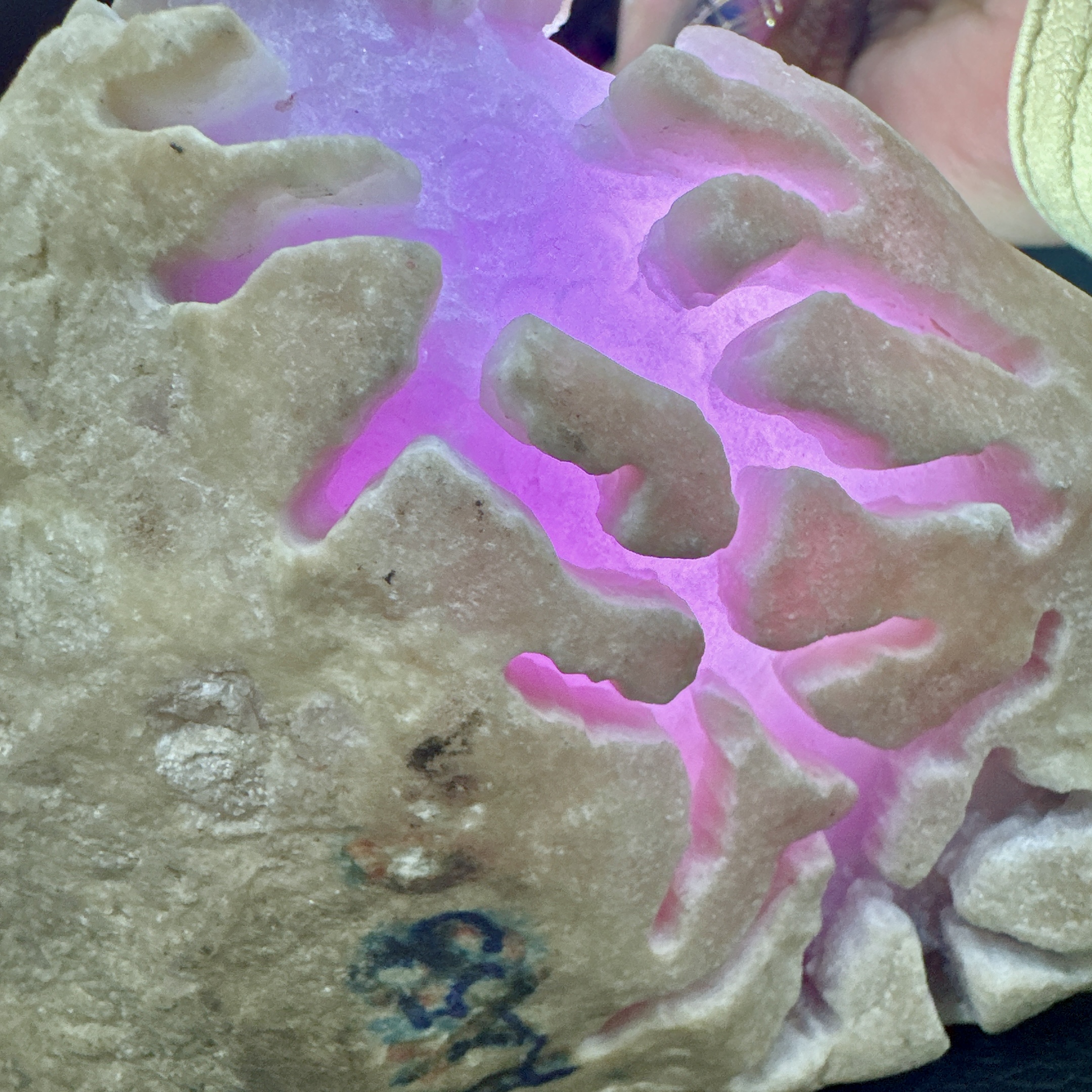 缅甸原石老坑开窗紫罗兰手镯料