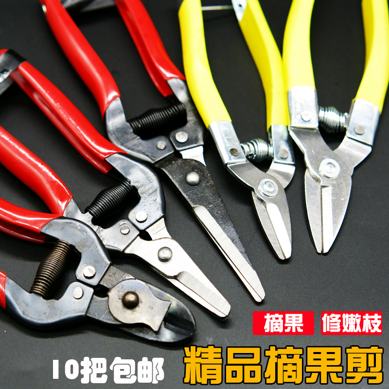 修枝剪修花剪刀采果园林柑橘剪桔子的小果剪葡萄枝专用窝型果把
