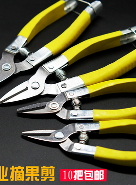 修枝剪修花剪刀枝剪采果园艺家用柑橘桔子刀剪葡萄专用圆头小嘴