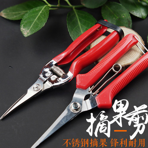 摘果剪剪刀剪子专用修枝剪园林