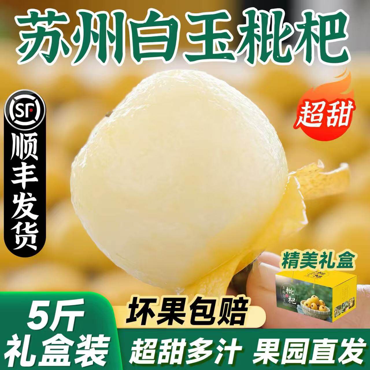 正宗西山白玉枇杷VS东山白玉止咳化痰孕妇小孩现摘顺丰保证新鲜
