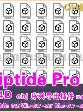 45-  C4D OBJ 序列导出插件 汉化版 RiptidePro R17-R20 win/mac