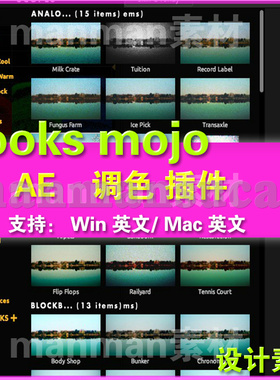 调色插件套装 Magic Bullet Suite （Win/Mac）mojo looks 英文版