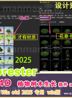 仅限Win C4D2025 专用植物插件c4d Forester植物树木快速生成插件