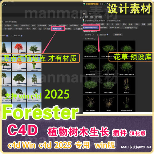 仅限Win C4D2025 专用植物插件c4d Forester植物树木快速生成插件