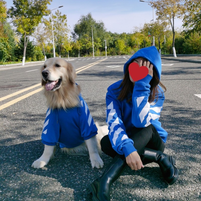蓝色卫衣大狗衣服宠物亲子装金毛拉布拉多萨摩潮牌大型犬秋冬装