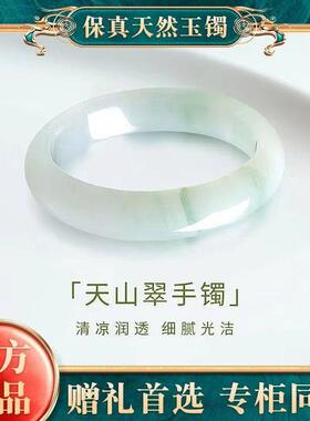 天山翠手镯玉镯女真货高冰冰种新疆金丝玉玉石小众冰飘花翡翠手镯