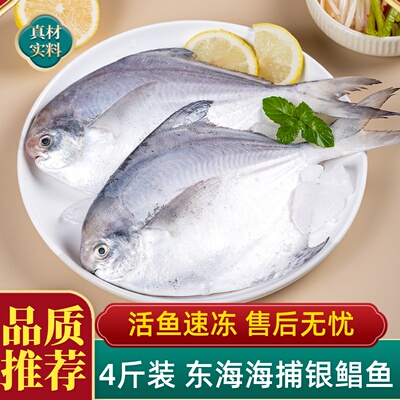 鲳鱼新鲜冷冻整箱4斤约16-30条
