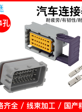 国产211PC249S8005改装电脑油改气ECU24线DJ7241-1.5/2.8-10/21插