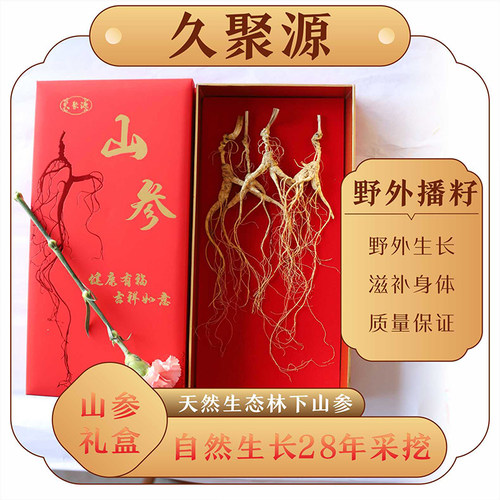 野山参老人参泡酒煲汤送礼