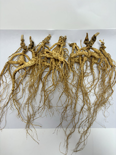 称重30克起卖 克散装 25元 野山参老山参高级吃货