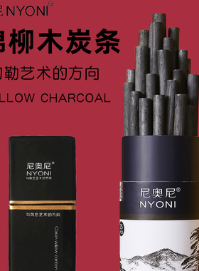 nyoni尼奥尼棉柳木炭条美术生素描专业炭棒写生打稿专用炭精条国画木碳条炭笔速写美术马利碳笔绘画工具套装