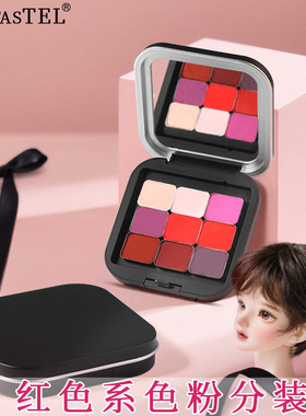 美国PanPastel进口多用途粉彩套装色粉粉质柔软易上色树脂黏土软