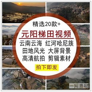 元阳梯田视频素材云南云海田地风光景点无水印自媒体剪辑后期合成