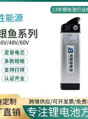 代驾外卖折叠电动车锂电池48V大