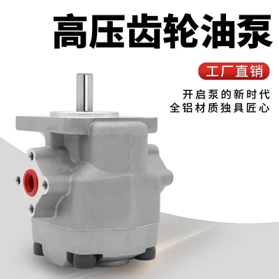 巨丰液压注塑机油泵高压齿轮泵