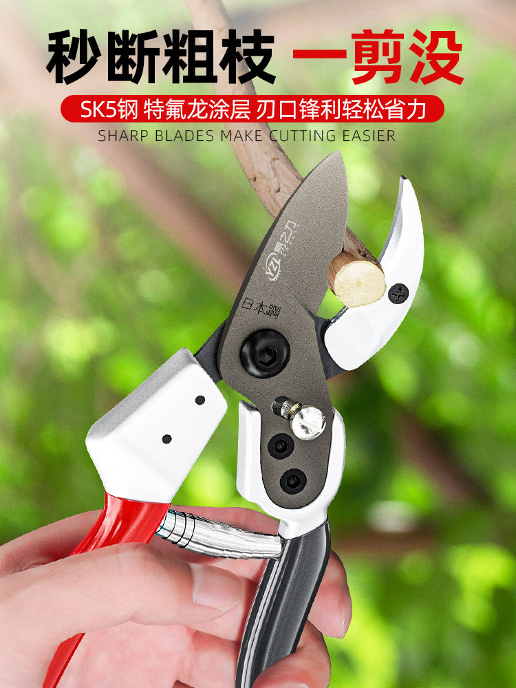 易之力枝剪果树修枝剪刀剪树枝专用园艺花剪艺园粗枝剪树剪子花图片