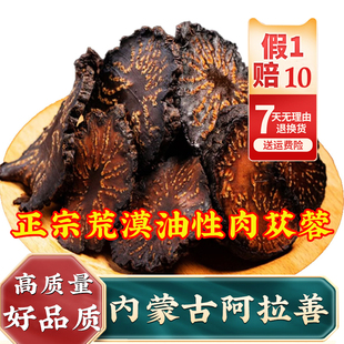 正宗荒漠油苁蓉内蒙阿拉善肉苁蓉正品 可搭锁阳支持验货假一赔十