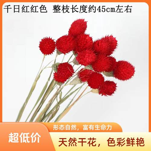 草莓果千日红新款干花花束天客厅装饰摆件仿真假花情人节生日礼物