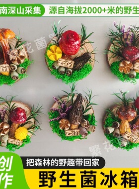 手工云南天然野生蘑菇木头冰箱贴