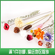 ins网红天然干花棉花麦穗永生花真花花束兔尾草插花客厅装饰摆件