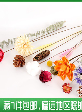 ins网红天然干花棉花麦穗永生花真花花束兔尾草插花客厅装饰摆件