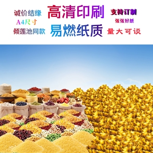 缘起图批发 五谷黄金 倾莲池同款画像 高清印刷 量大可议价