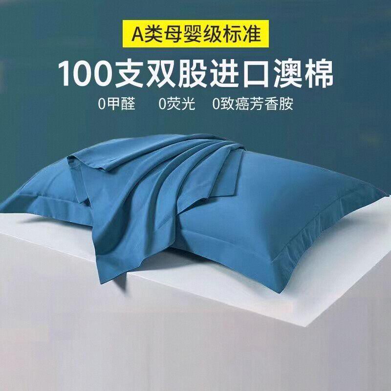 100支磨毛长绒棉枕套全棉纯棉48×74cm单人双人一对装枕头枕芯套