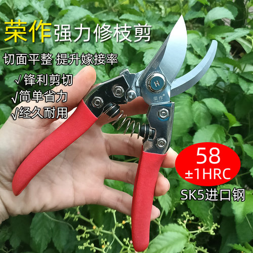 果树修枝剪园艺盆景修枝剪