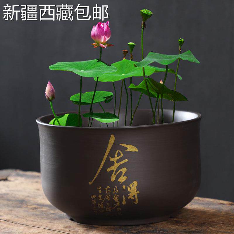 @新疆包邮西藏紫砂大号荷花缸莲花专用陶瓷水培铜钱草花盆无孔水