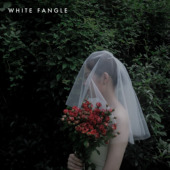 头纱 WHITE 复古俏皮清新森系旅拍 新娘素款 极短款 FANGLE 合皙