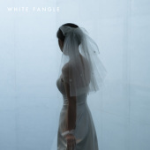 WHITE 俏皮少女复古旅拍头纱 波点蝴蝶结头纱 FANGLE 珍妮