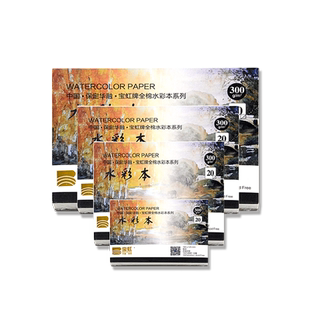 宝虹水彩纸棉浆纸300g中粗纹细纹美术专用 保虹牌32k16K8K4k开四面封胶水彩本中国宝红学院级全棉画画本200克