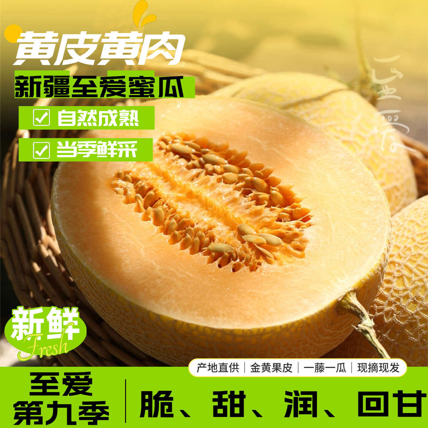 新疆至爱哈密瓜脆甜多汁绿色食品认证一藤一瓜黄皮黄肉现摘现发货