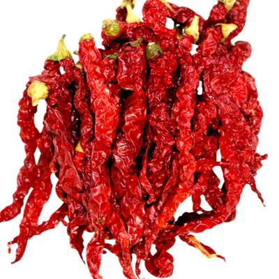 新疆线椒安集海辣皮子辣子鸡