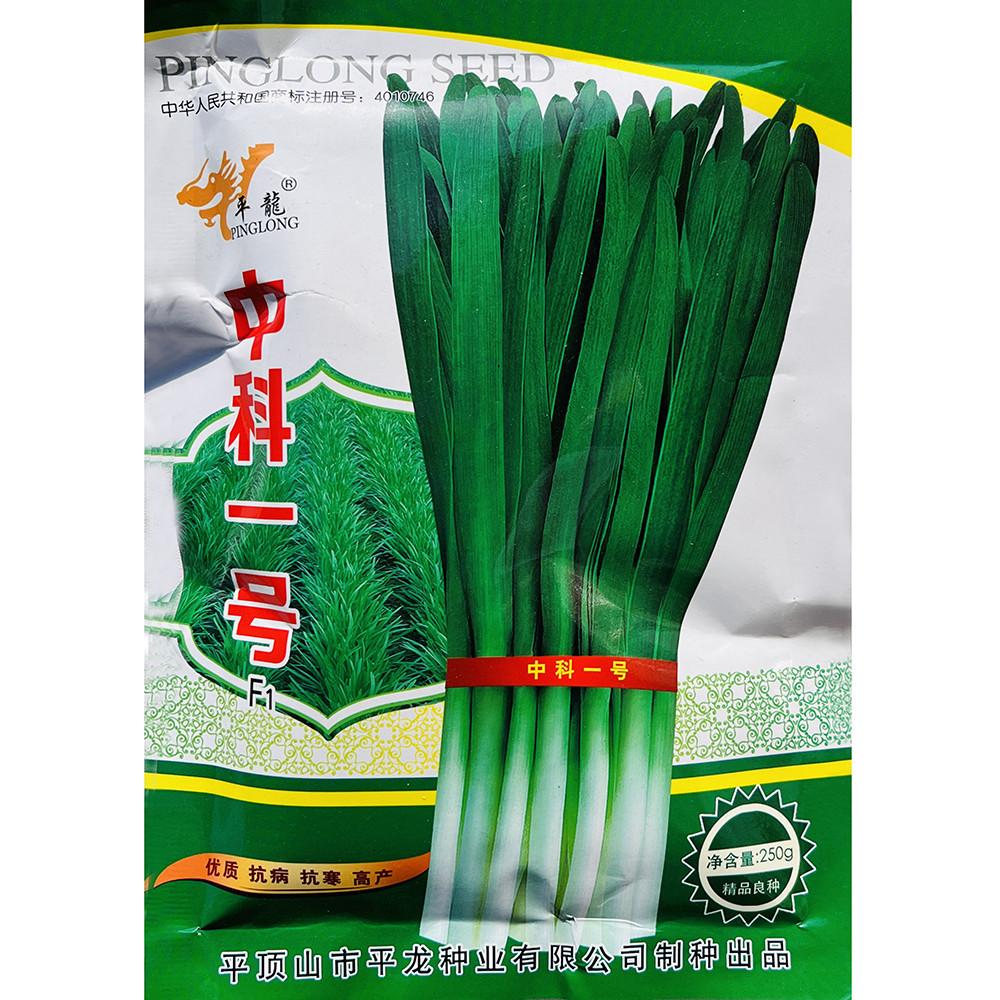 平龙中科一号韭菜种子不休眠宽叶耐高温低温抗性好春秋季韭菜种籽