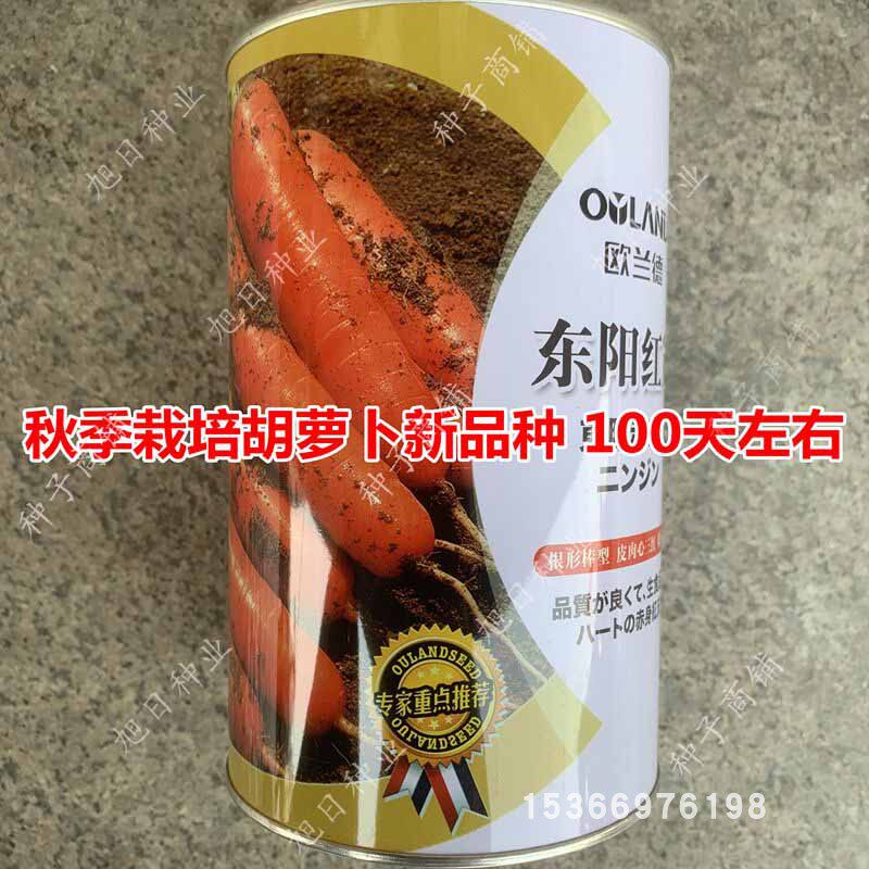 欧兰德东阳红冠胡萝卜种子夏季耐热优质高产进口三红七寸参种籽孑