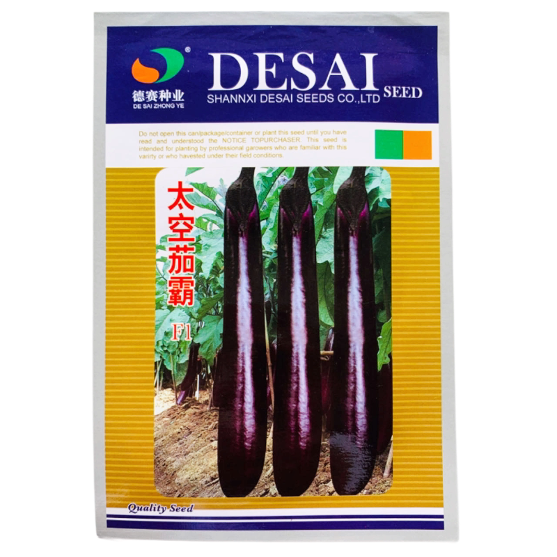 茄子春季基地蔬菜苗