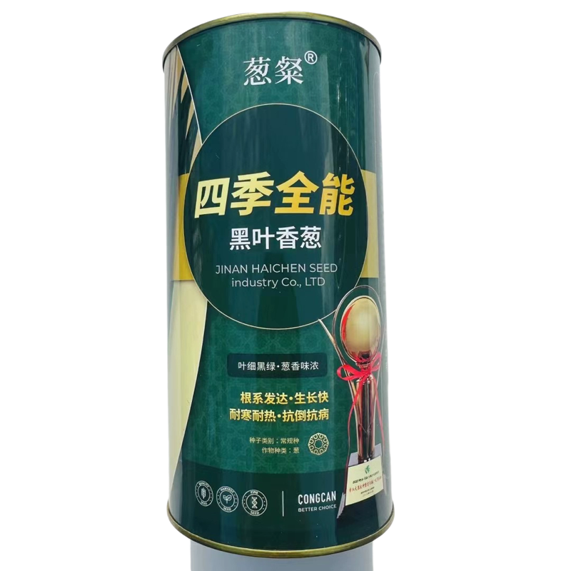 四季全能黑叶香葱种子耐热耐寒抗病细叶硬杆钢葱种籽孑基地250克