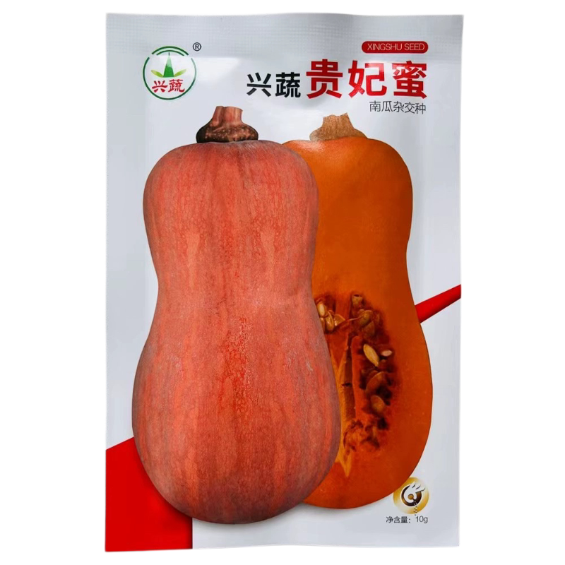 贵妃蜜南瓜种子花生奶油小南瓜种籽小南瓜种孑春夏秋季南瓜孑正品