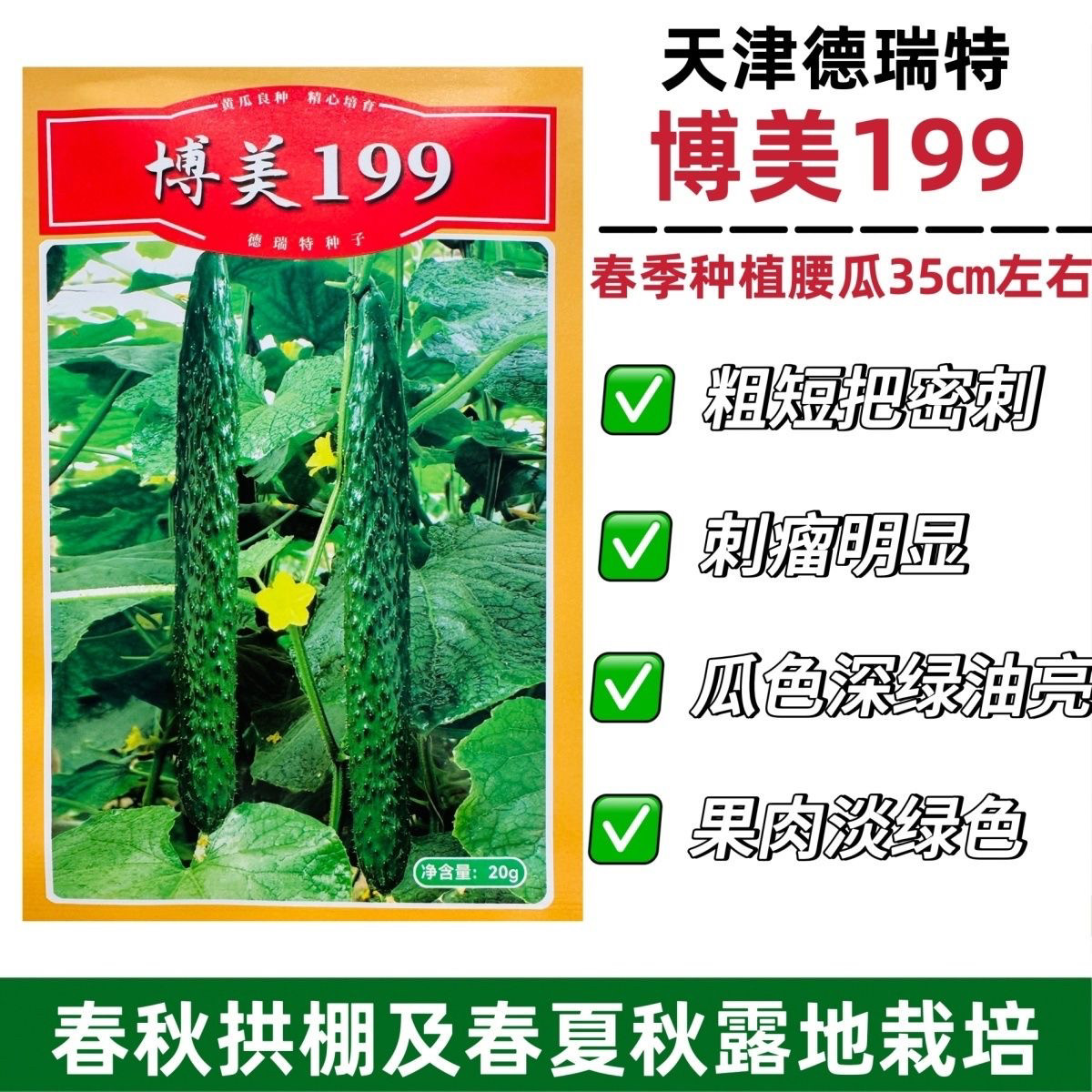 德瑞特黄瓜种子博美199黄瓜种籽油亮耐热密刺长黄瓜种子春夏秋季