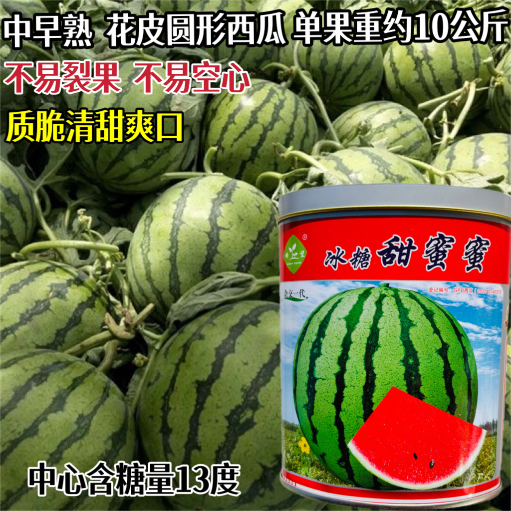 西瓜种籽美都早熟麒麟瓜春季大棚