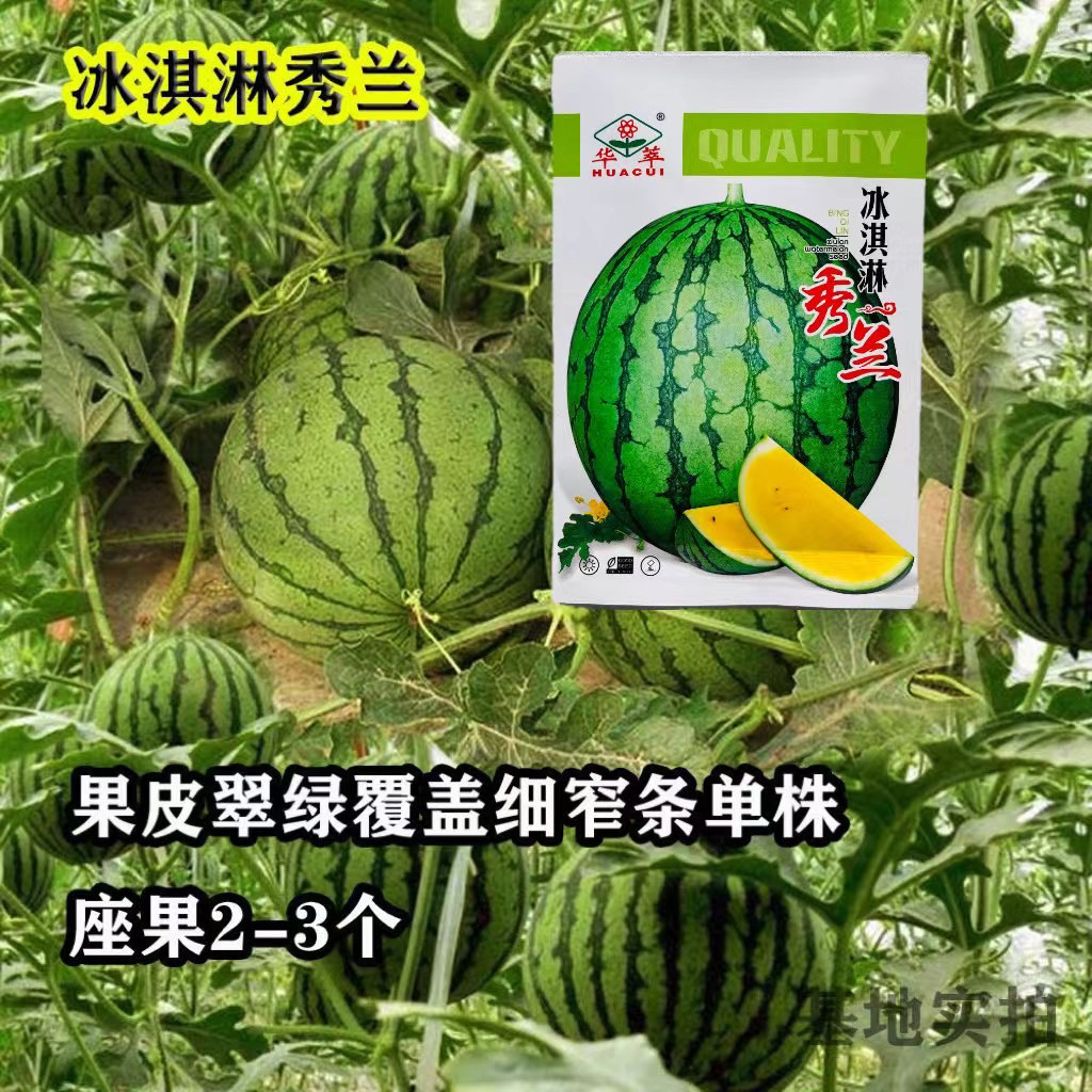 冰淇淋秀兰西瓜种子甜味香甜好吃冰凉爽口春夏四季播水果种籽孑