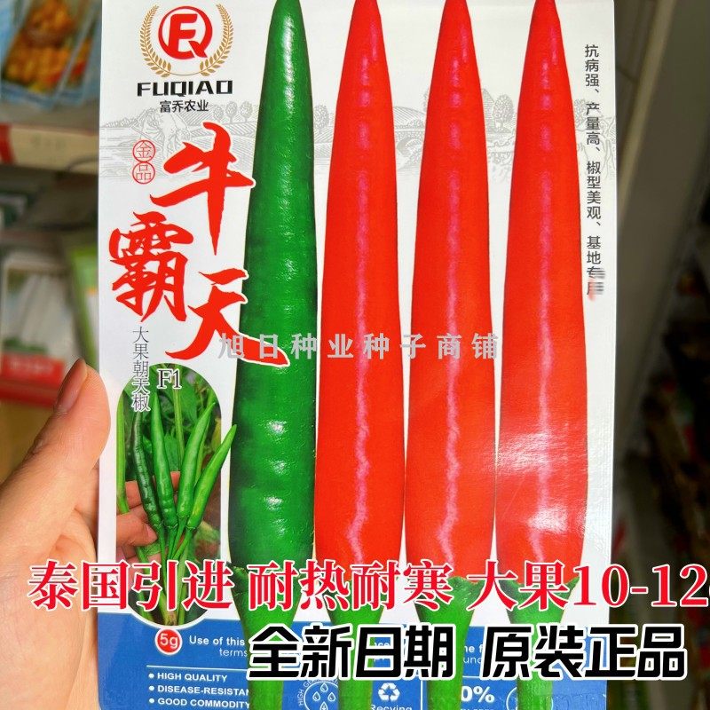 泰国进口朝天椒种子耐寒抗寒辣椒