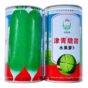 津青脆甜青萝卜种子冰糖水果萝卜生吃脆甜盆栽四季播农家蔬菜种籽