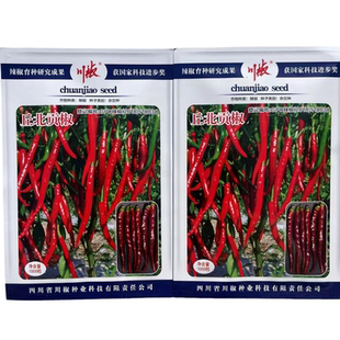 丘北贡椒辣椒种子干鲜两用香辣型短线椒种籽大田基地蔬菜种孑子